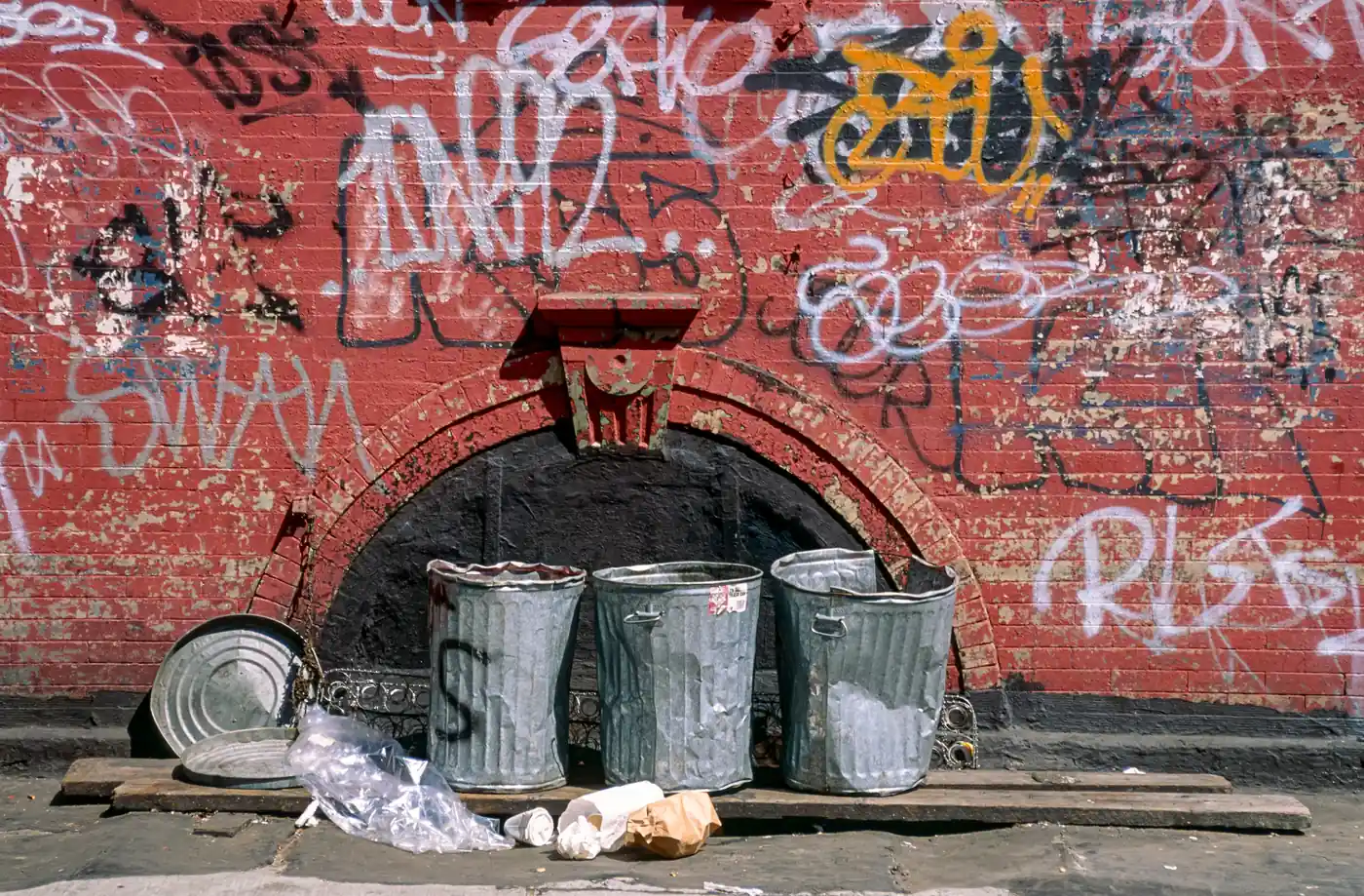 Overflowing trash cans and discarded household items at the curb